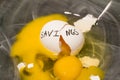 Saving Money Nest Egg Royalty Free Stock Photo