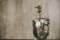 coins in jug glass Royalty Free Stock Photo