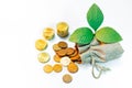 Saving money. Coins spilling out of money bag Royalty Free Stock Photo