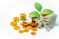 Saving money. Coins spilling out of money bag Royalty Free Stock Photo