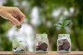 Saving money concept. Business and finance investment. A man hand putting coin into glass bottle containing coins, Growth plant on