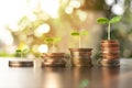 Saving money concept. money coin stack growing business.investment.plant growing uop on coin Royalty Free Stock Photo