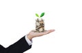 Saving money, Financial business , Business growth and Investment. Businessman hand holding jar full of coins with growing plant Royalty Free Stock Photo