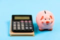 Saving money. First salary. bookkeeping. financial report. family budget management. business start up. piggy bank with Royalty Free Stock Photo