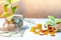 Saving money concept. Plant growing out of coins Royalty Free Stock Photo