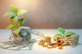 Saving money concept. Plant growing out of coins Royalty Free Stock Photo