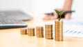 Saving money and investment concept, Business accountant woman stacking coins into increasing columns stack for budget behind desk Royalty Free Stock Photo