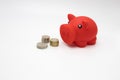 Saving money for a rainy day. Piggy banks on a white background. Savings and investments