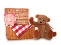 Saving money on a teddy bears picnic party Royalty Free Stock Photo