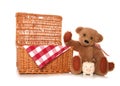 Saving money on a teddy bears picnic party Royalty Free Stock Photo