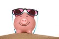 Saving money on your summer holiday piggy banks Royalty Free Stock Photo