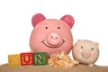 Saving money on your summer holiday piggy banks Royalty Free Stock Photo