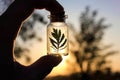 Saving nature concept. Hand holding a plant in a protective flask Royalty Free Stock Photo
