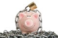 Saving pig is secured with lock