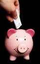 Saving twenty euros in piggy bank Royalty Free Stock Photo