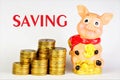 Saving up money text caption. It is reasonable to look for benefits,