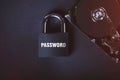 Saving user data. Hacking a password on a PC. Closing access to files. Hackers and secret data. HDD and key with lock