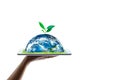 Saving world Ecology concept. Elements of this image furnished by NASA