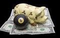 Savings behind eight ball investment money piggy bank Royalty Free Stock Photo