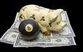 Savings behind eight ball investment money piggy bank