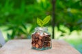 Savings coins and green plant growing in glass bottle