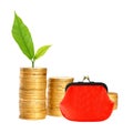 Savings, increasing columns of gold coins, red purse and green p Royalty Free Stock Photo