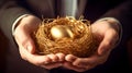 savings increasing saving concept egg golden nest hold carefully hands male.