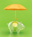 Savings Insurance