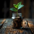 Savings Journey: Small Steps to a Secure Tomorrow