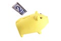 Savings - 2 reais Royalty Free Stock Photo