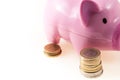 Savings represented by a pink pig