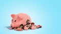 Savings spending comcept pink ceramic piggy bank completely broken up into several large pieces money inside 3d render on blue