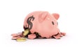 Savings spending comcept pink ceramic piggy bank completely broken up into several large pieces money inside 3d render on white