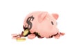 savings spending comcept pink ceramic piggy bank completely broken up into several large pieces money inside 3d render on white no