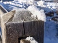 Savognin, Snow and frost with needles due to intense cold