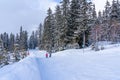 Savoie, France - 15.02.2022: Panorama of ski fields with skiers in Les Arcs, snow fir trees background, Europe