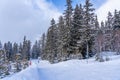 Savoie, France - 15.02.2022: Panorama of ski fields with skiers in Les Arcs, snow fir trees background, Europe Royalty Free Stock Photo