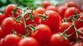Savor the Juicy Delight: Vibrant and Organic Red Cherry Tomatoes-