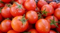 Savor the Sweetness: Amor Tomatoes - A Vegetarian Delight in the Kitchen