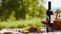 Savoring Life\'s Pleasures, Wine Enhances a Charming Picnic Setting Amidst Scenic Beauty. Generative AI