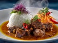 Savory Beef Curry with Rice and Vegetable Garnish Royalty Free Stock Photo