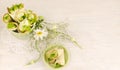 Savory cannoli stuffed with ricotta, peas and parsley. Overhead view, horizontal