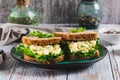 Savory egg salad sandwich with avocado on whole grain bread on a plate Royalty Free Stock Photo