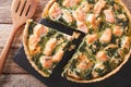 Savory food: sliced tart with salmon, spinach and cream close-up. Horizontal top view Royalty Free Stock Photo