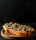 Savory meat spread on toasted bread garnished with fresh herbs Royalty Free Stock Photo