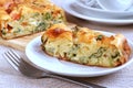 Savory Pie With Cheese, Tomatos And Ramsons