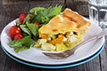 Savory pie with chicken Royalty Free Stock Photo