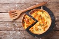 Savory pie with pumpkin, cheese, chicken and herbs closeup. Hori Royalty Free Stock Photo