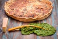 Savory Pie