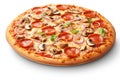 Savory Pizza Pleasure: Tempting Delicacy